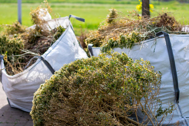 Best Mattress Removal Service  in Horicon, WI