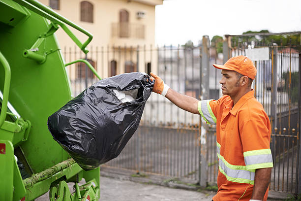 Yard Cleanup Services in Horicon, WI
